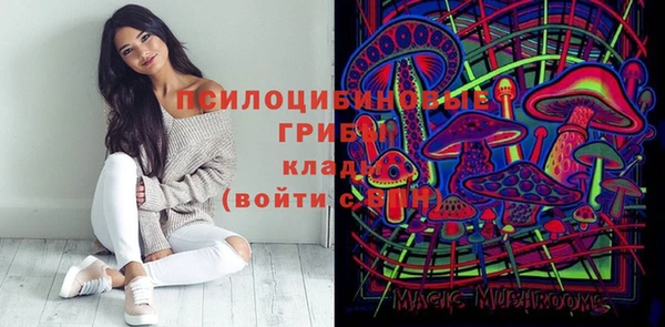 первитин Нея