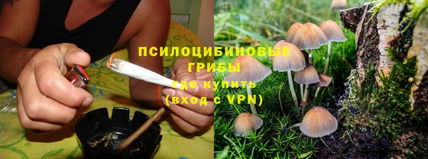 первитин Нея