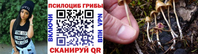 Псилоцибиновые грибы мицелий  mega ТОР  shop клад  Пионерский 